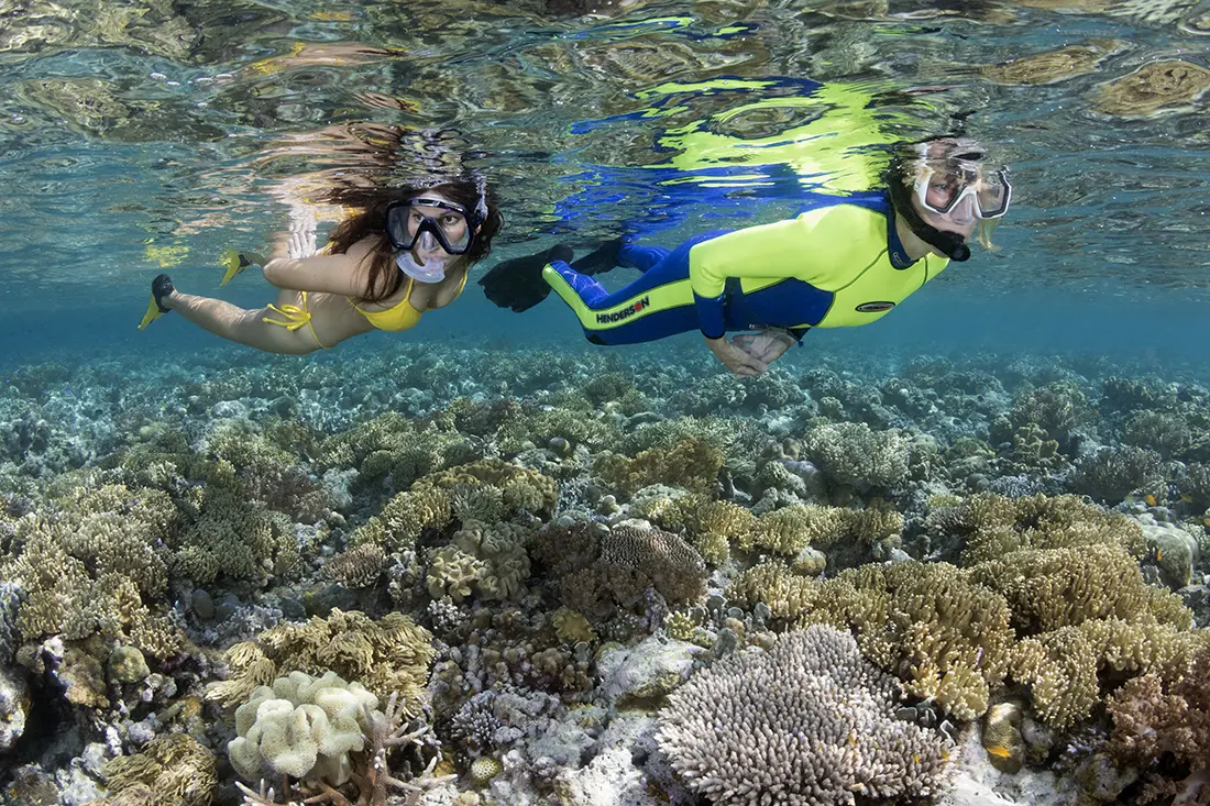 Two snorkelers at Wakatobi Dive Resort